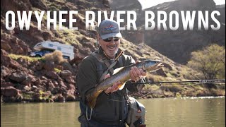 OWYHEE RIVER BROWNS | Oregon's Famous Brown Trout Destination