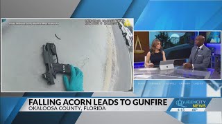 What's next for officer who mistook acorn for gunfire?