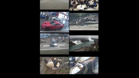 Live Cams Pro - Foscam / Multi IP Camera Viewer  for both iPhone and iPad