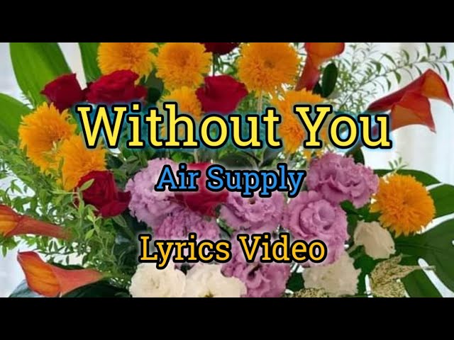 Without You - Air Supply (Lyrics Video) class=