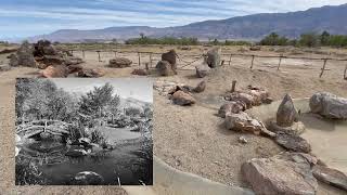 Manzanar: An American Concentration Camp