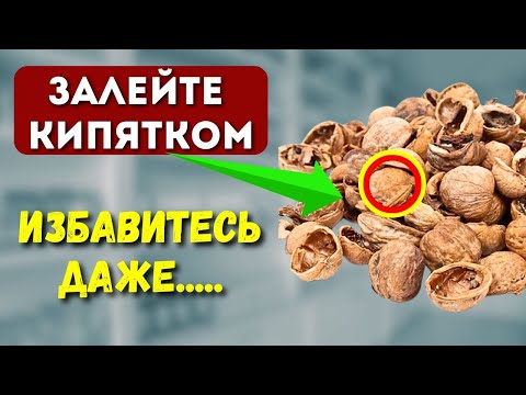 НЕ Мусор, а Лекарство на ВЕСЬ ЗОЛОТА! Как ПРАВИЛЬНО Использовать скорлупу Грецких Орехов