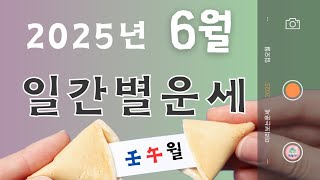 [계절사주-미리보는 운세] 2025년 6월 일간별 운세(임오월)/덧글창에 타임라인
