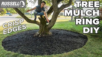 How to Mulch a Tree Ring with CRISP Edges!