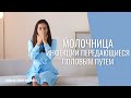 Инфекции передающиеся половым путем | Молочница | Лечение  | Врач Карина Грек