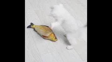 Cat USB Charger Toy Fish Interactive Electric floppy Fish Cat toy Realistic Pet Cats Chew Bite Toys