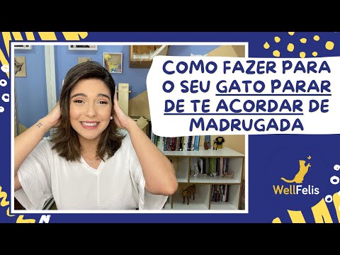 Vídeo: 11 maneiras de evitar que os gatos entrem em sua casa