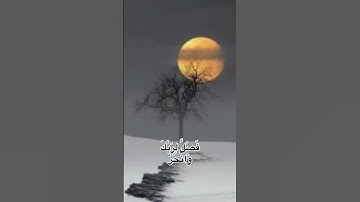 سعد الغامدي ( سورة الكوثر)