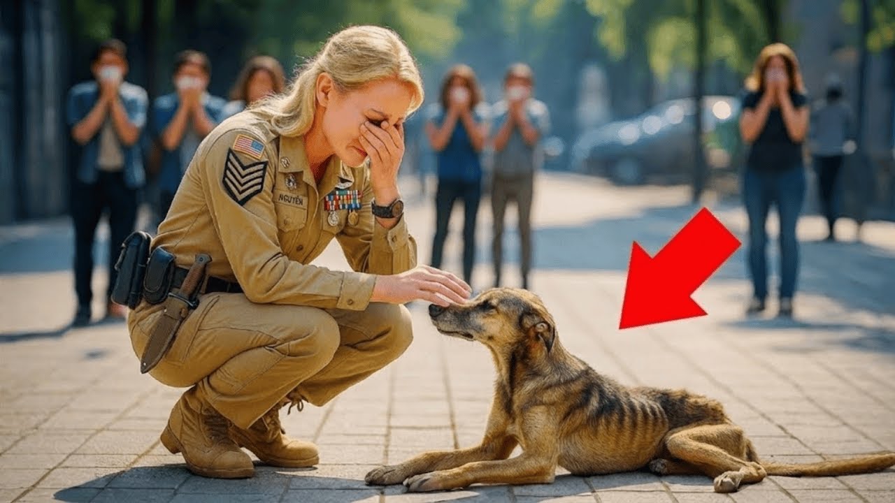 Żołnierz znajduje na ulicy swego emerytowanego psa. To, co stało się dalej, zszokowało wszystkich!