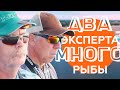 Красиво клюёт! Константин Кузьмин и Валерий Новосадов.