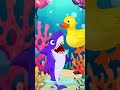 SHARK vs GIANT RUBBER DUCK! 🦈🐤 #shorts #shark #funnycartoons #kidsvideos #animals