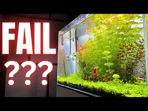 5 Mistakes I Made With This Aquarium (DONT DO THIS!!!)