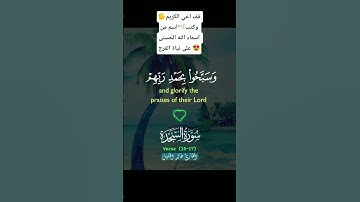 أكتب شيء تؤجر عليه 🕊️🌴🌲🌳 #تلاوة_خاشعة القرآن الكريم راحة نفسية 😍❤️