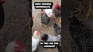 Get Ready To Giggle Dad Joke Number 6 About Chickens