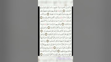 سوره البقره من 1 الى 16 الشيخ ماهر المعيقلي