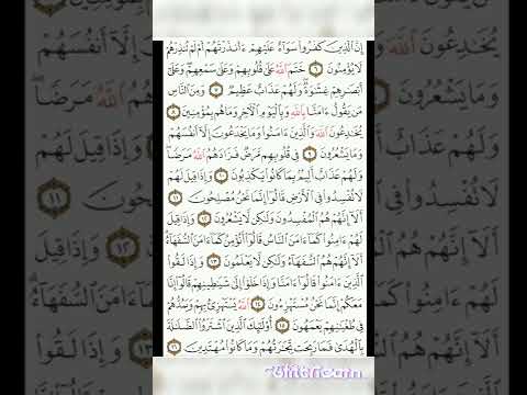 سوره البقره من 1 الى 16 الشيخ ماهر المعيقلي