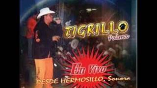 Video thumbnail of "TigrillO Palma - A ver que te vas"
