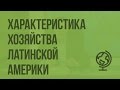 Общая характеристика хозяйства Латинской Америки. Видеоурок по географии 10 класс