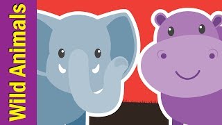 Learn Wild Animals for Kids | Video Flashcards | Kindergarten, Preschool, ESL | Fun Kids English