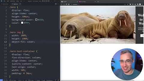 Can ChatGPT write decent CSS
