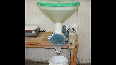 Grinding Chestnut Flour At Route 9 Co-op