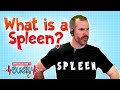 What Is a Spleen? | Operation Ouch | Science for Kids