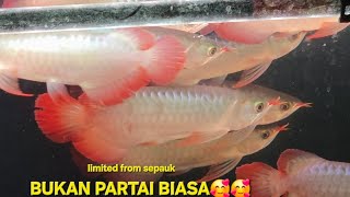 BUKAN PARTAI BIASAA