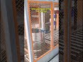 Continuous Vertical Conveyor | 50–150kg Load | On-Site Operation