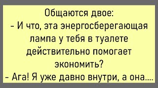 🤡Директор Фирмы Вызвал Главного Бухгалтера...Большой Сборник Смешных Анекдотов,Для Супер Настроения!