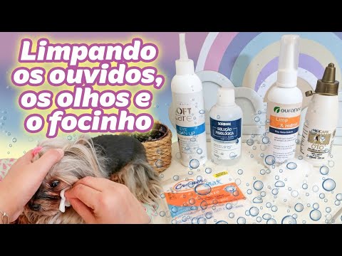 Vídeo: Como Limpar Orelhas De York