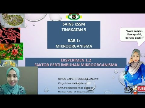 Perbincangan Eksperimen 1 2 Buku Teks Pertumbuhan Mikroorganisma Bakteria Youtube