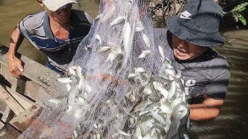 quăng một chài cá khủng khiếp thấy mà mê|ATNDT103