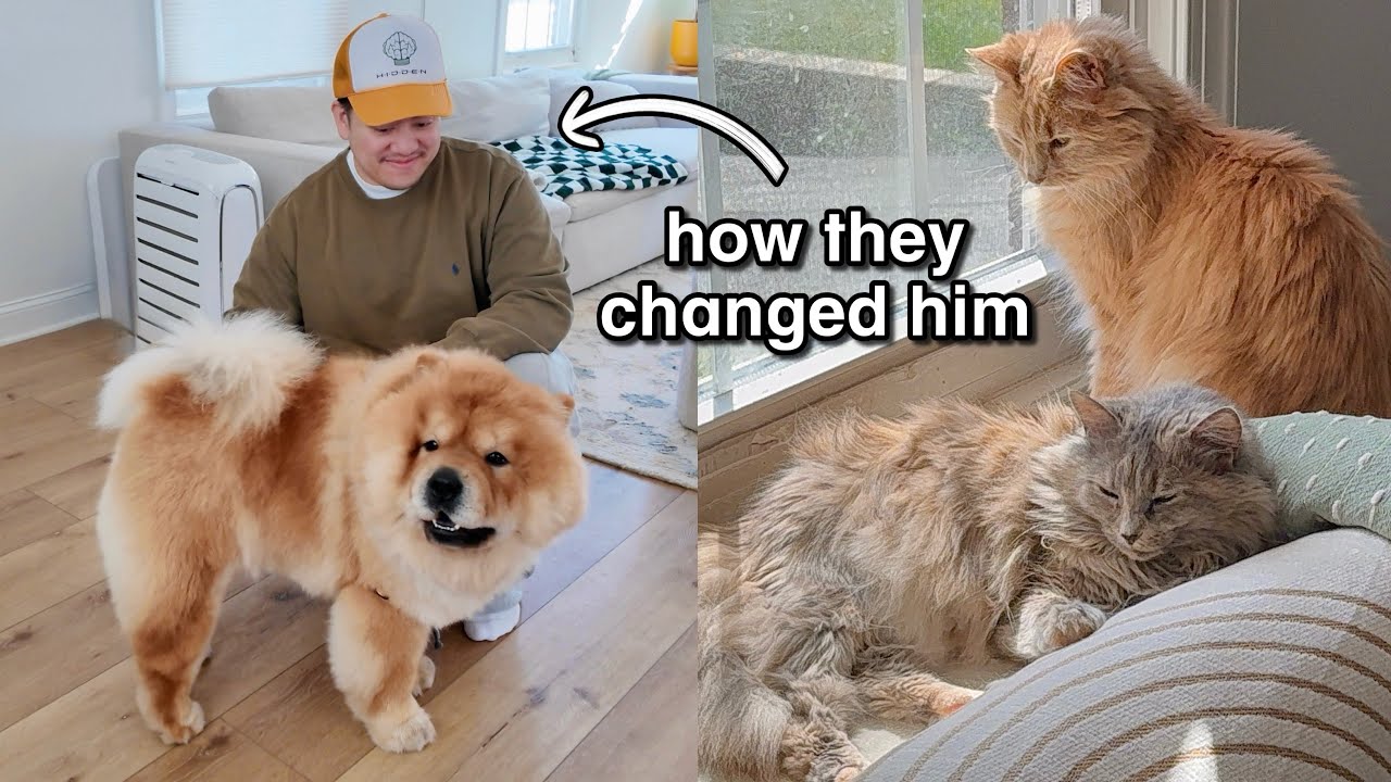 Latest Title & Thumbnail