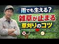 雨季でも雑草を防ぐ草刈りのコツとは？イネ科と広葉雑草の違い＆耕すべきか徹底解説 | 雑草対策