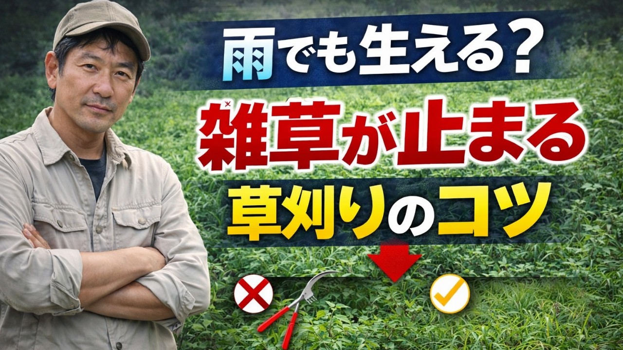 雨季でも雑草を防ぐ草刈りのコツとは？イネ科と広葉雑草の違い＆耕すべきか徹底解説 | 雑草対策