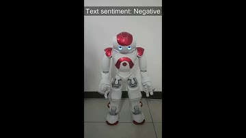 Adaptive Emotional Chatting Behavior to Increase the Sociability of Robots