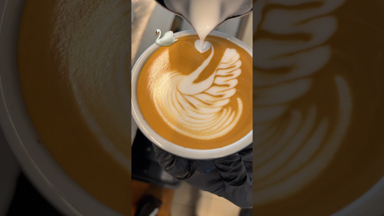 How to mix milk & Espresso short #coffee #latteart #barista #shorts #short #latte#training #tranding