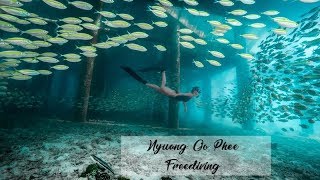 Nyuang Oo Phee Freediving