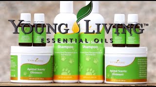 Young Living Animal Scents Products