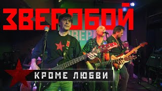 Зверобой - 