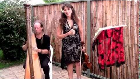 String Beings Duo - violin and harp