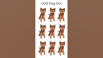 Odd Dog Out Test Your Observation Skills Puzzles: Easy Visual Challenge Game