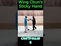 Wing Chun Sticky Hand: Feel the Flow #kungfu #wingchunkungfu #stickyhand