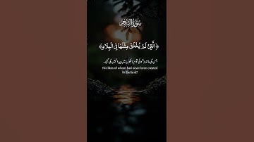 Surah al Fajr - سورة الفجر #اكسبلور #المصحف #duet #الرحمن
