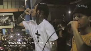 PSYCHEDELIC BOYZ - PINEAL GLAND x RAWSTARR TIL' I DIE (Live Performance @ Manila)