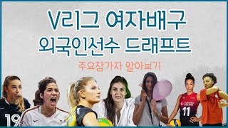 여자배구 외국인선수 드래프트가 내일이라고?? 트라이아웃에 참가한 선수들을 알아보자