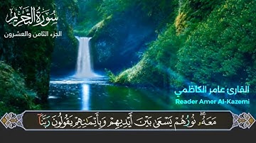 سورة التحريم شيخ عامر الكاظمي