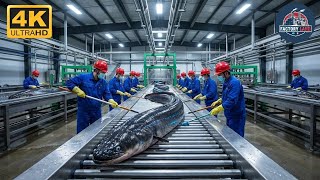 Inside the electric Eel Factory How Raw Bio Energy TURNS Into Unlimited PowerFul Process #howitsmad