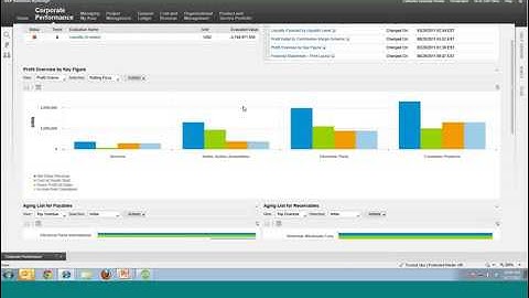 SAP Business ByDesign Analytics Overview Demo