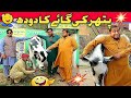 Stand up comedy at  pathar ki gaaye ka doodh  funny faisalabad official ranaijaz tasleemabbas